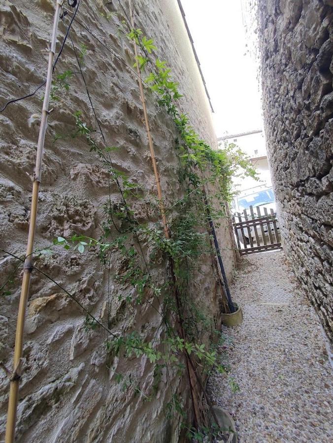 Il Fait Bon Vivre Classe 3 Etoiles Montcuq Экстерьер фото